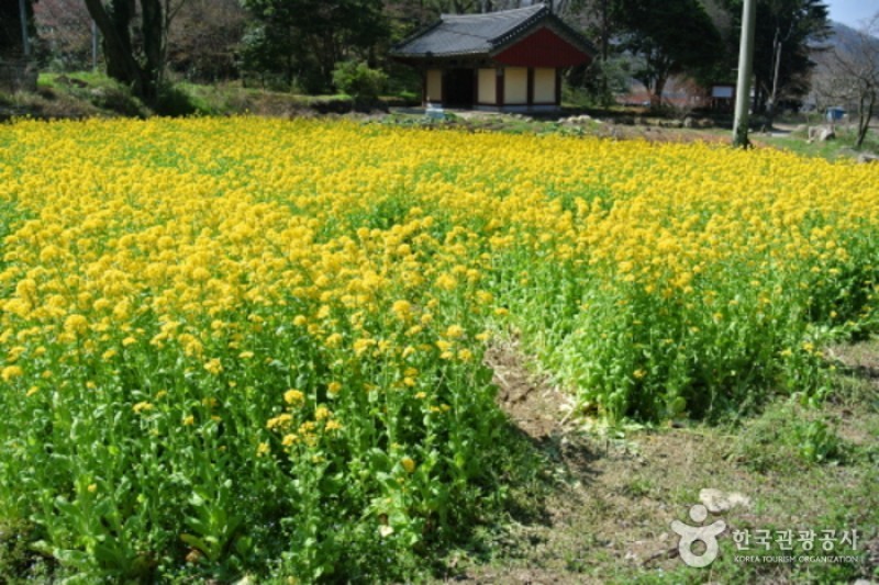 尖察山双溪寺 (17/18)
