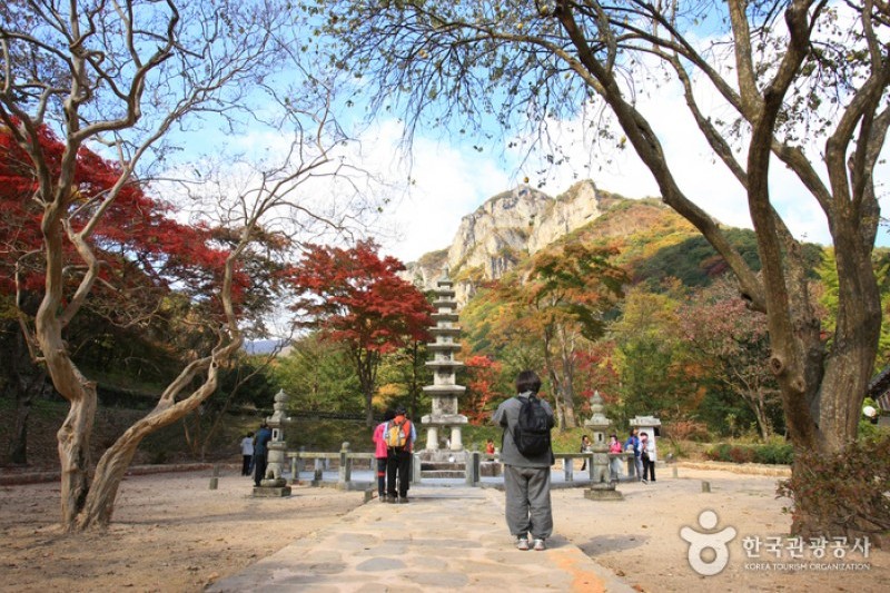 古佛丛林 白羊寺고불총림 백양사