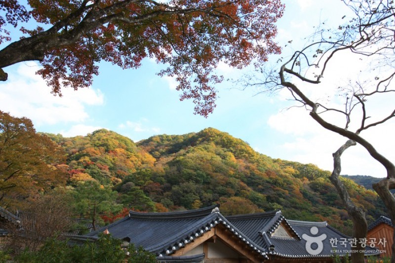 古佛丛林 白羊寺고불총림 백양사