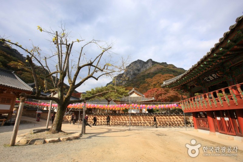 古佛丛林 白羊寺고불총림 백양사
