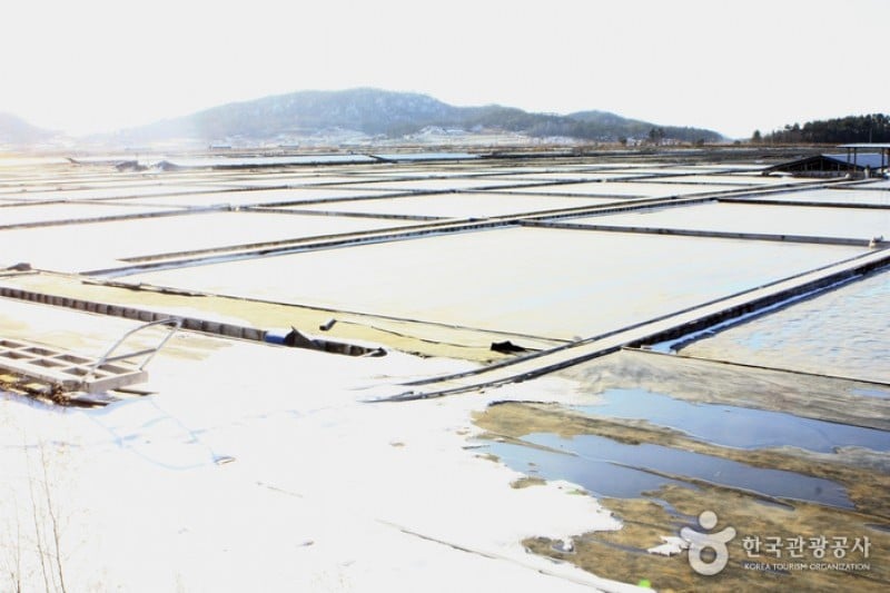 曾岛[慢城]증도[슬로시티]