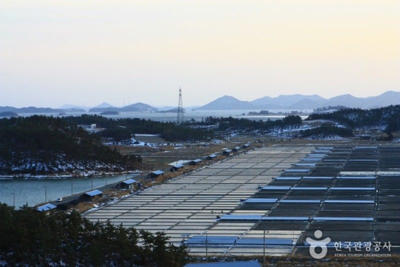 曾岛[慢城]증도[슬로시티]