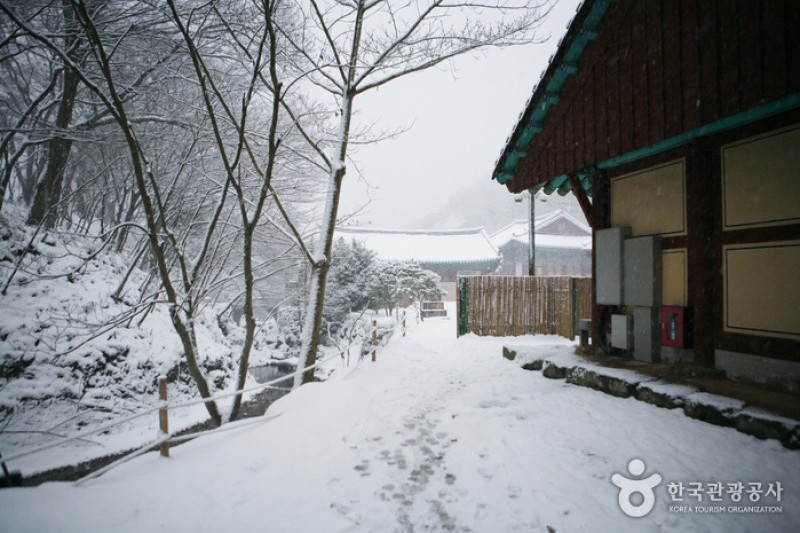 头轮山大兴寺(두륜산 대흥사) (25/34)