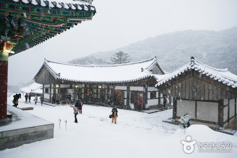 头轮山大兴寺(두륜산 대흥사) (26/34)