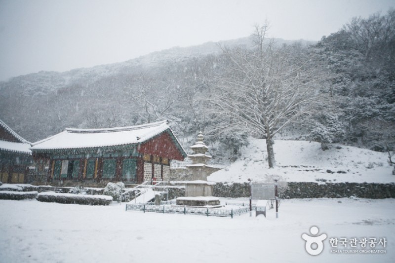 头轮山大兴寺(두륜산 대흥사) (28/34)