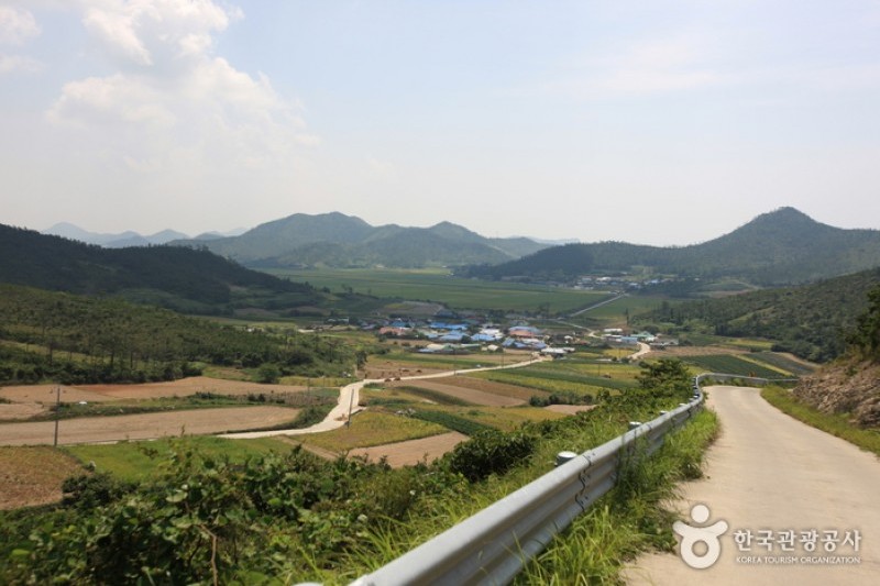 飞禽岛비금도 (1/8)
