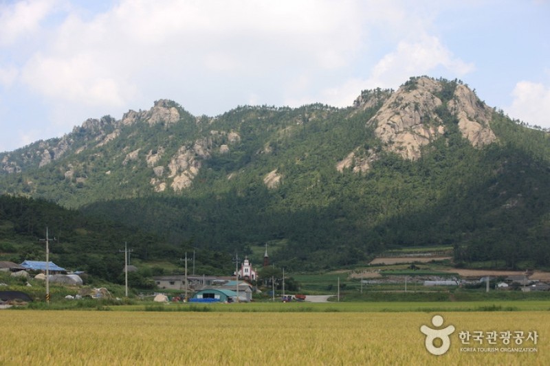 飞禽岛비금도 (3/8)