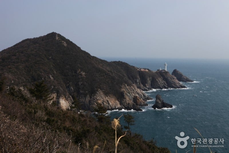 巨文岛 (29/42)