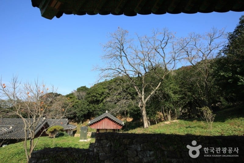 美黄寺/兜率庵（海南） (5/25)