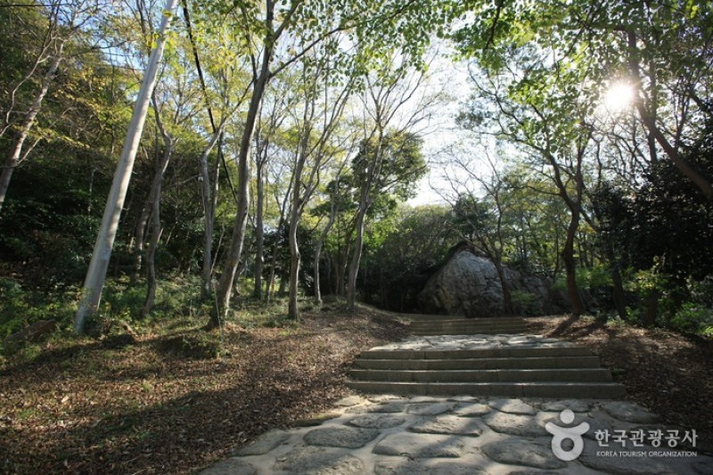 美黄寺/兜率庵（海南） (19/25)