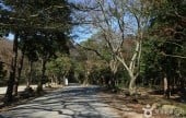 头轮山道立公园