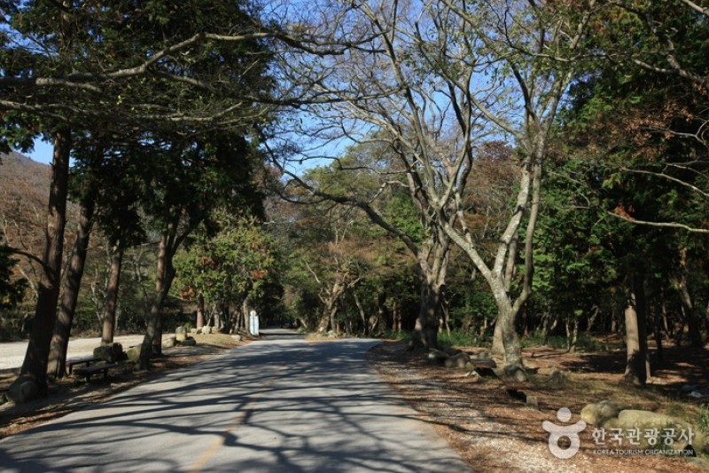 头轮山道立公园 (1/52)