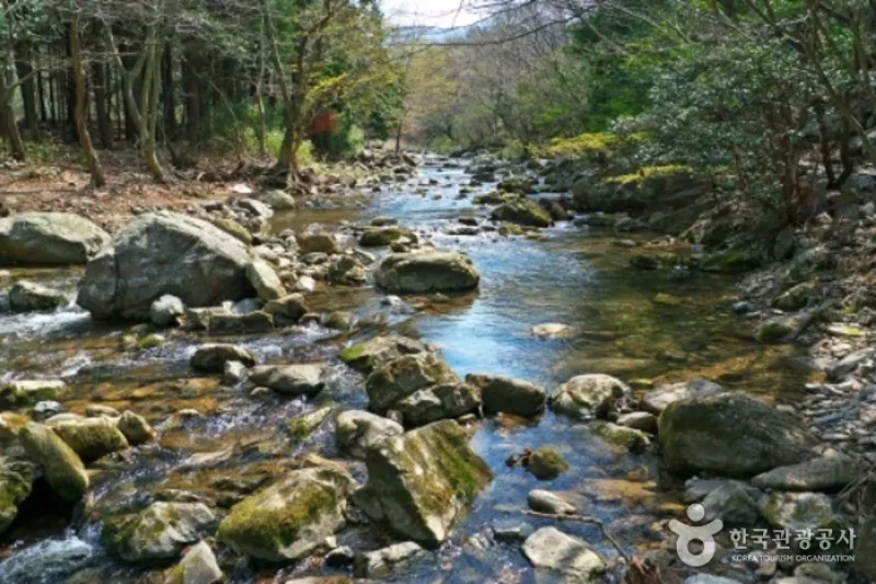 头轮山道立公园 (50/52)