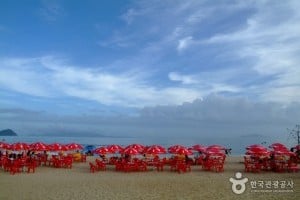 薪智鸣沙十里海水浴场