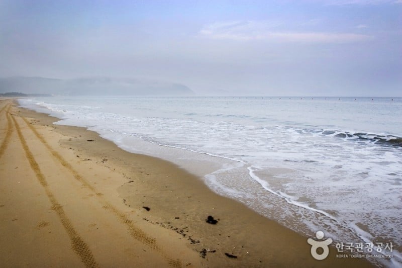 薪智鸣沙十里海水浴场 (3/26)