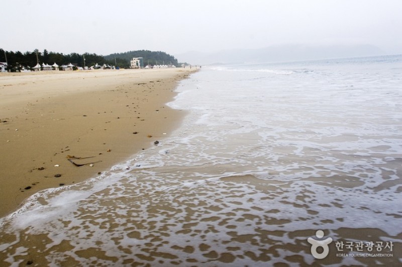 薪智鸣沙十里海水浴场 (14/26)