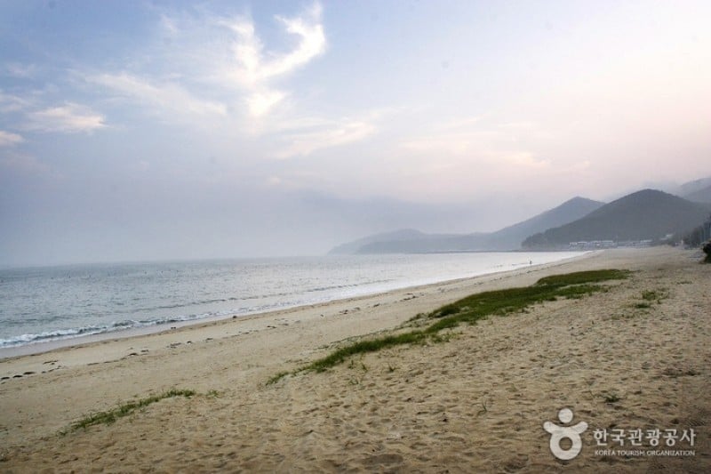 薪智鸣沙十里海水浴场 (16/26)
