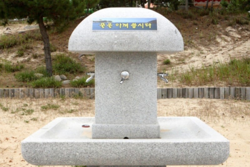 薪智鸣沙十里海水浴场 (19/26)