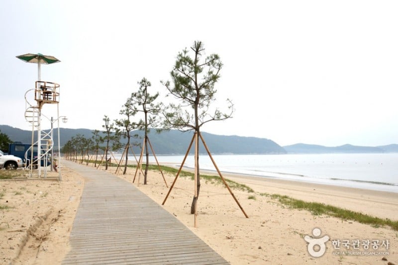 薪智鸣沙十里海水浴场 (21/26)