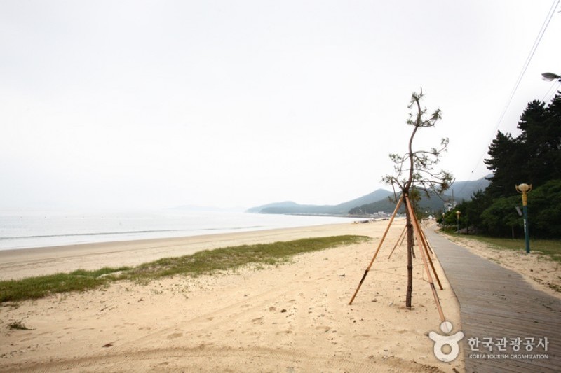 薪智鸣沙十里海水浴场 (22/26)