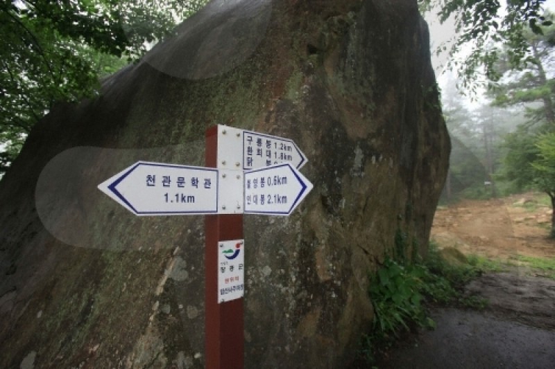天冠山道立公园 (2/21)