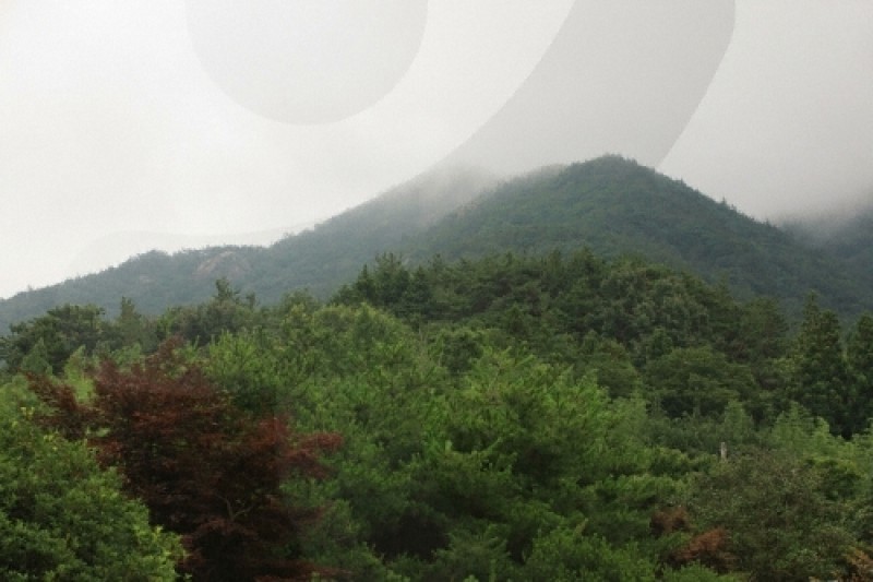 天冠山道立公园 (19/21)