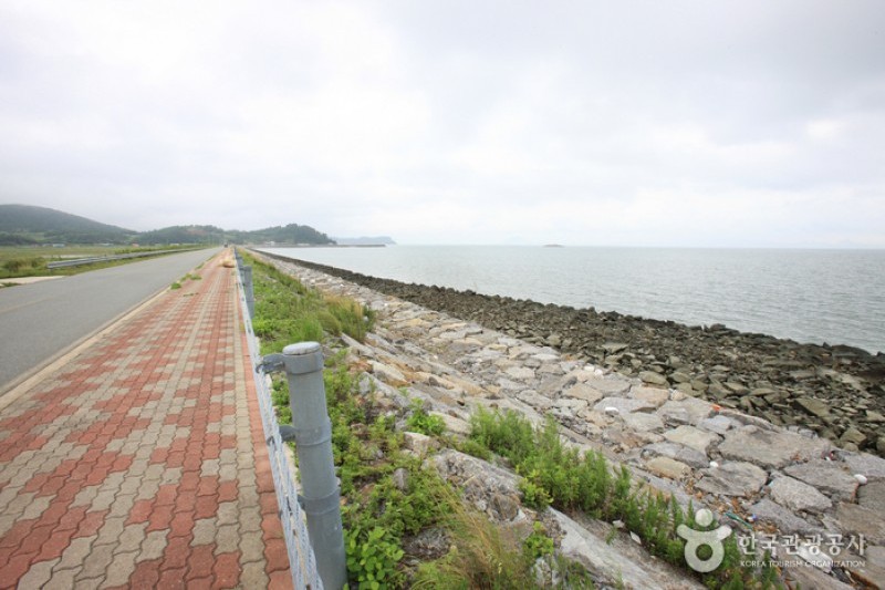 正南津长兴정남진장흥 (9/20)