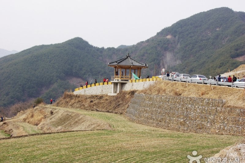 求礼山茱萸村 (5/10)