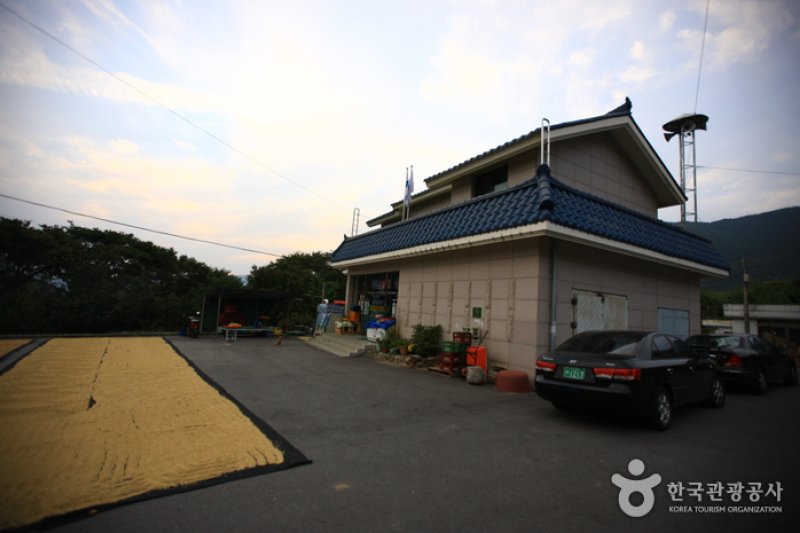 求礼山茱萸村 (6/10)