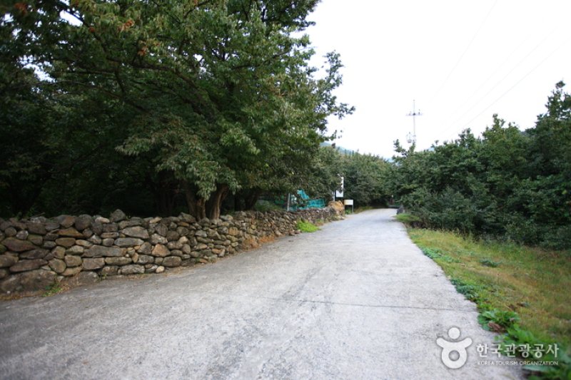 求礼山茱萸村 (9/10)