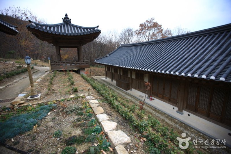 顺天传统野生茶体验馆순천전통야생차체험관 (4/11)