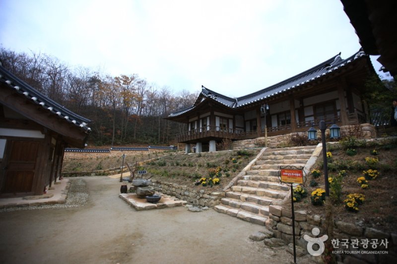 顺天传统野生茶体验馆순천전통야생차체험관 (5/11)