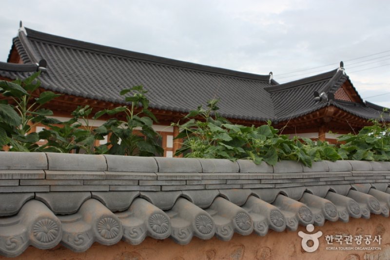 灵岩鸠林村 (1/1)