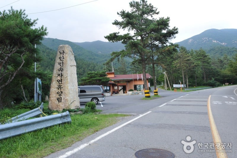 乐安民俗自然休养林