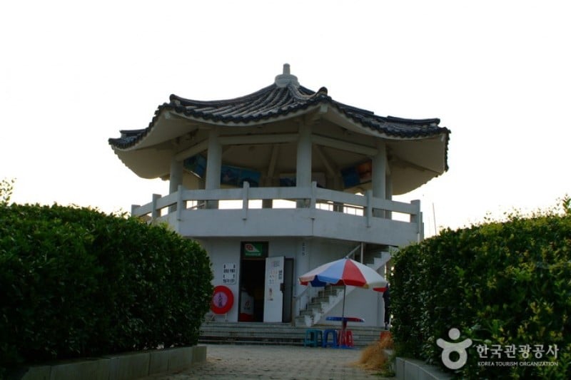 鹿津展望台 (1/10)