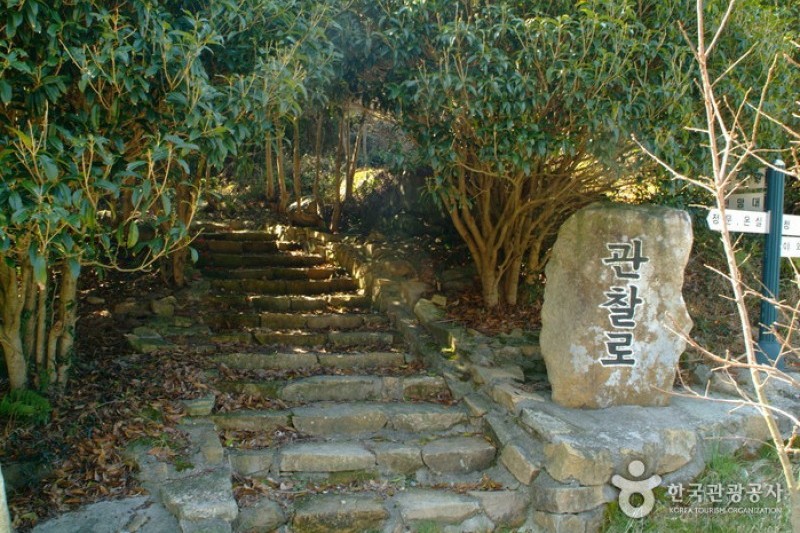 菀岛树木园 (2/13)