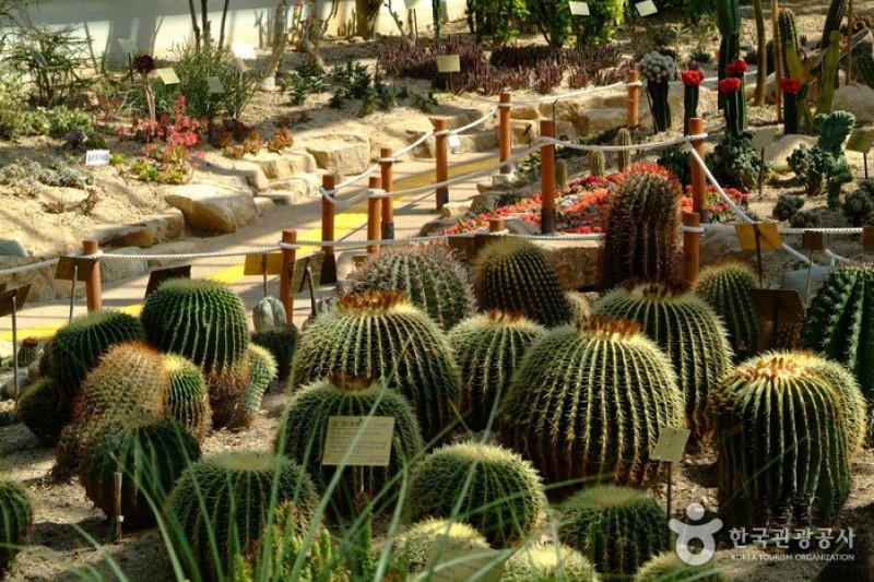菀岛树木园 (10/13)