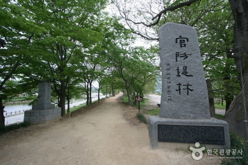 官防堤林 (1/10)