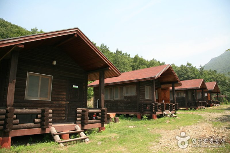 驾鹤山自然休养林 (1/10)