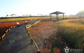太平盐生植物园