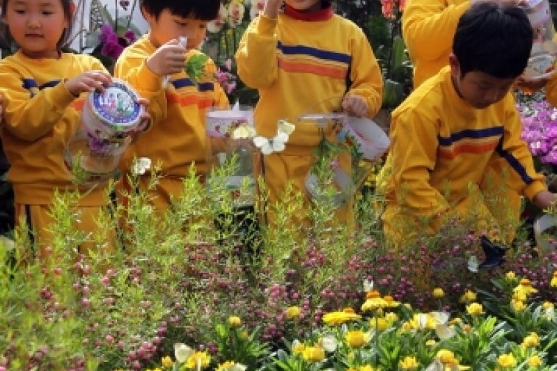 咸平蝴蝶大庆典