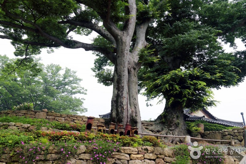 头轮山大兴寺(두륜산 대흥사) (32/34)