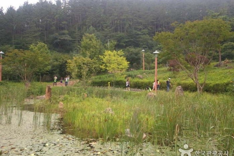 白云山 (6/10)
