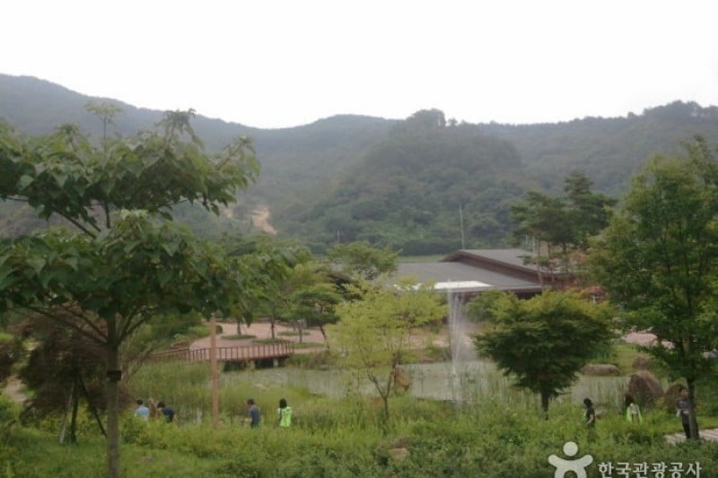 白云山 (7/10)
