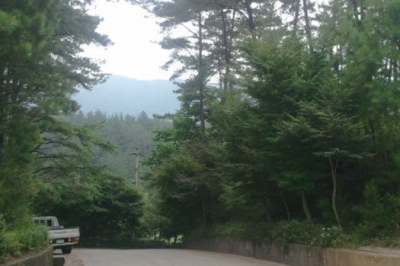 白云山 (8/10)