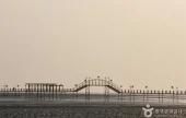 [曾岛第三观光路线]千年树林道