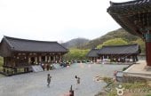 龙泉寺