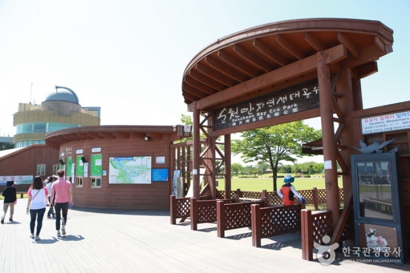 顺天湾湿地 (66/70)