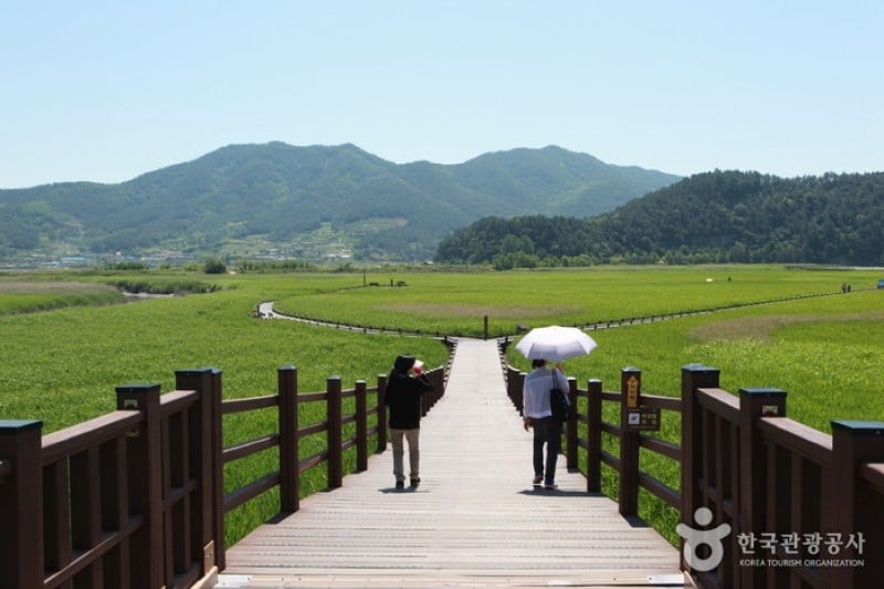 顺天湾湿地 (67/70)