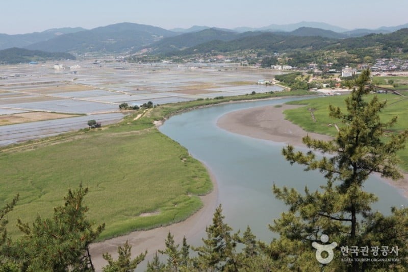 顺天湾湿地 (70/70)